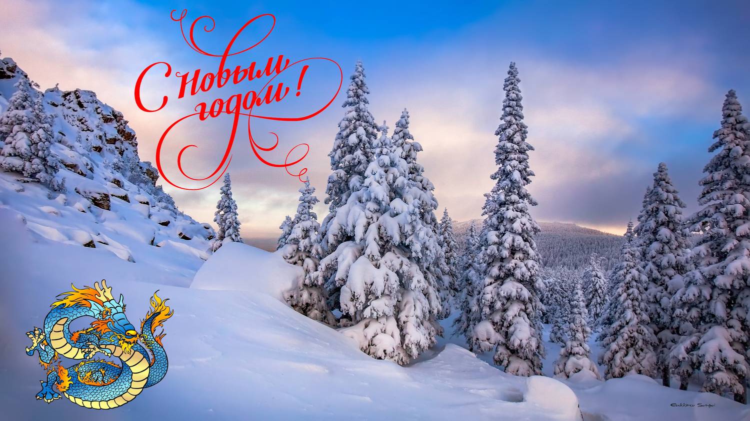 , Евдокимов Сергей