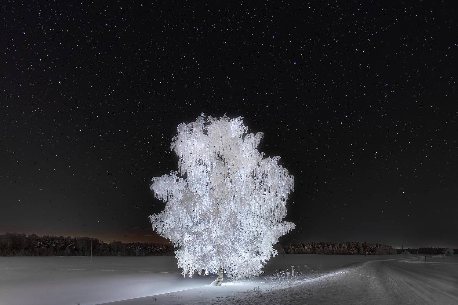 , Александр Пашеничев