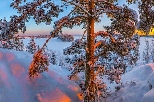 Друзья, с Новым Годом!