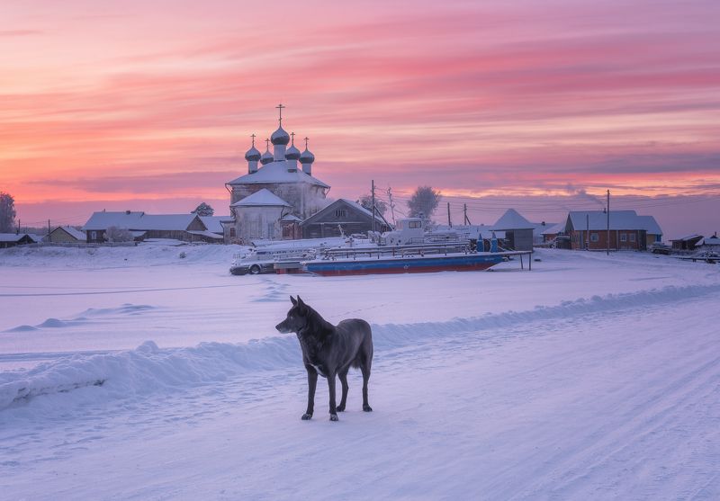 Темный страж Кенозерья фото превью