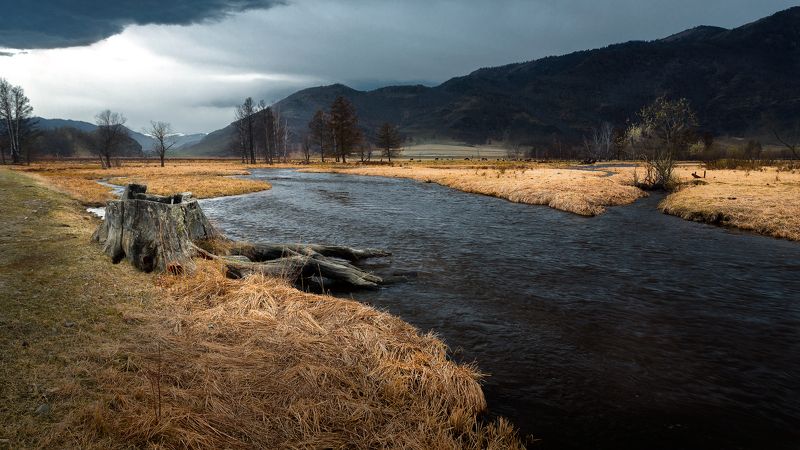 Долина, Река, Горы, Весна Каракольская долина фото превью