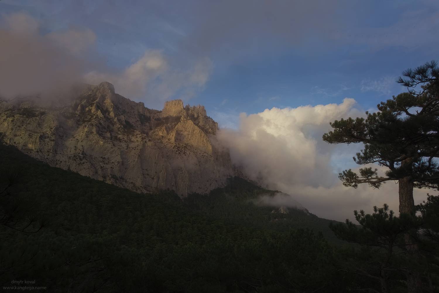 пейзажемагьё, пейзаж-как-виденье, Коваль Дмитр