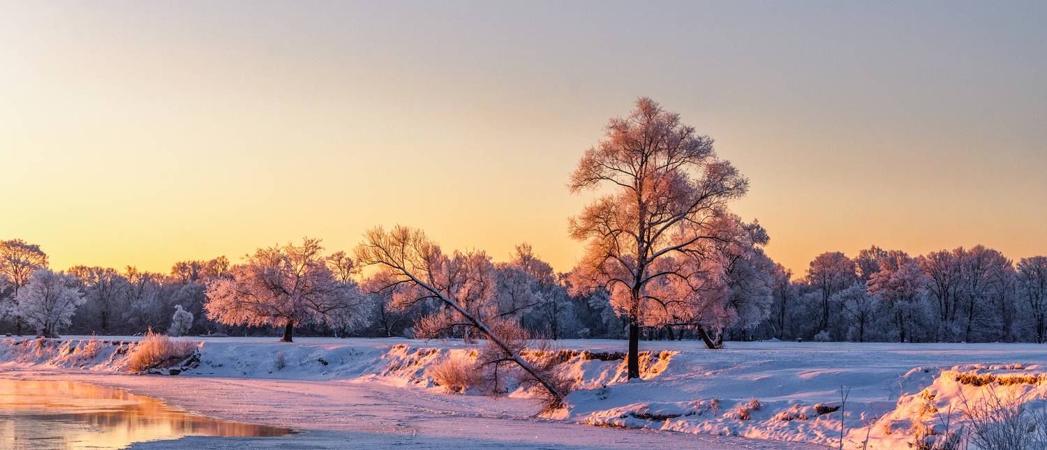 , Александр Березуцкий