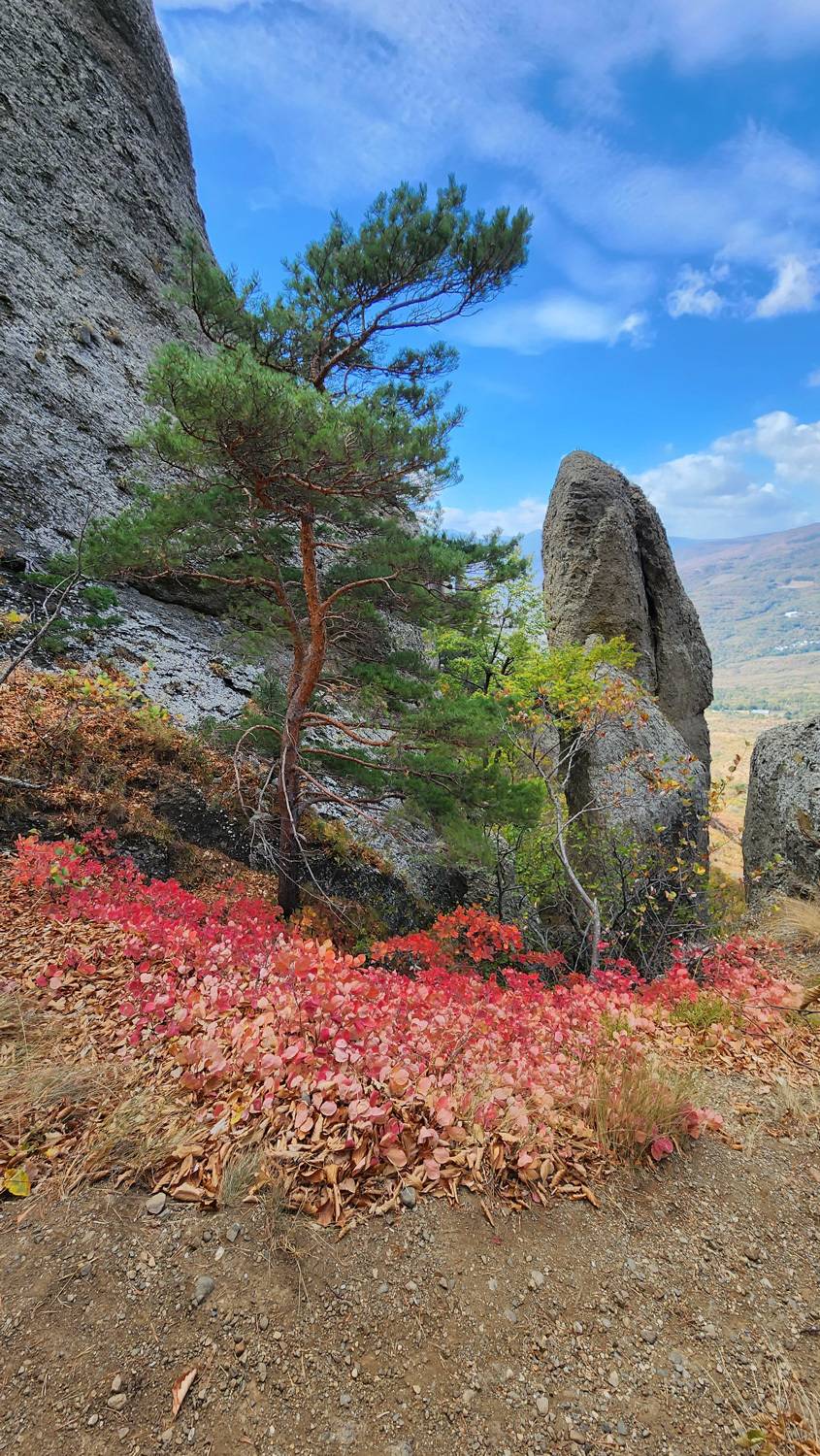 Горы, скалы, осень, Альбина Колодяжная
