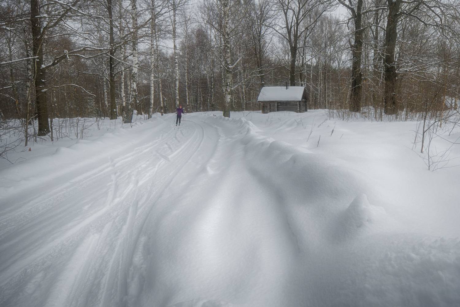 лес домик лыжня девушка, Вера Петри