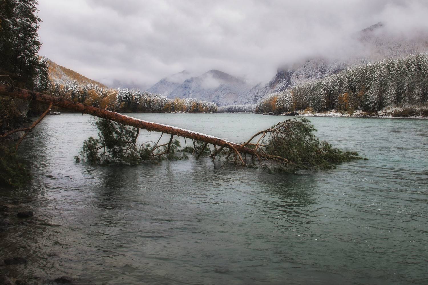 алтай, осень, катунь, чуйскийтракт, первыйснег, Шарикова Ольга