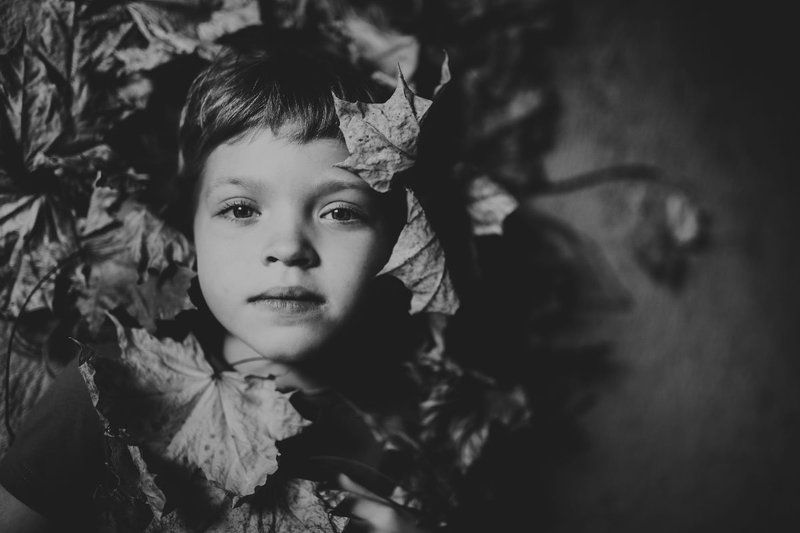 осень фото превью