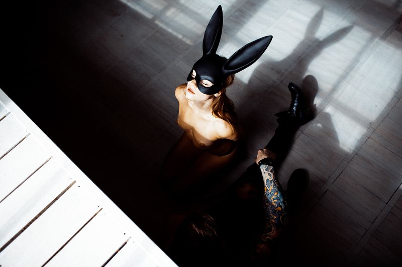 Bunny фото превью