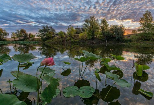 В предвкушении