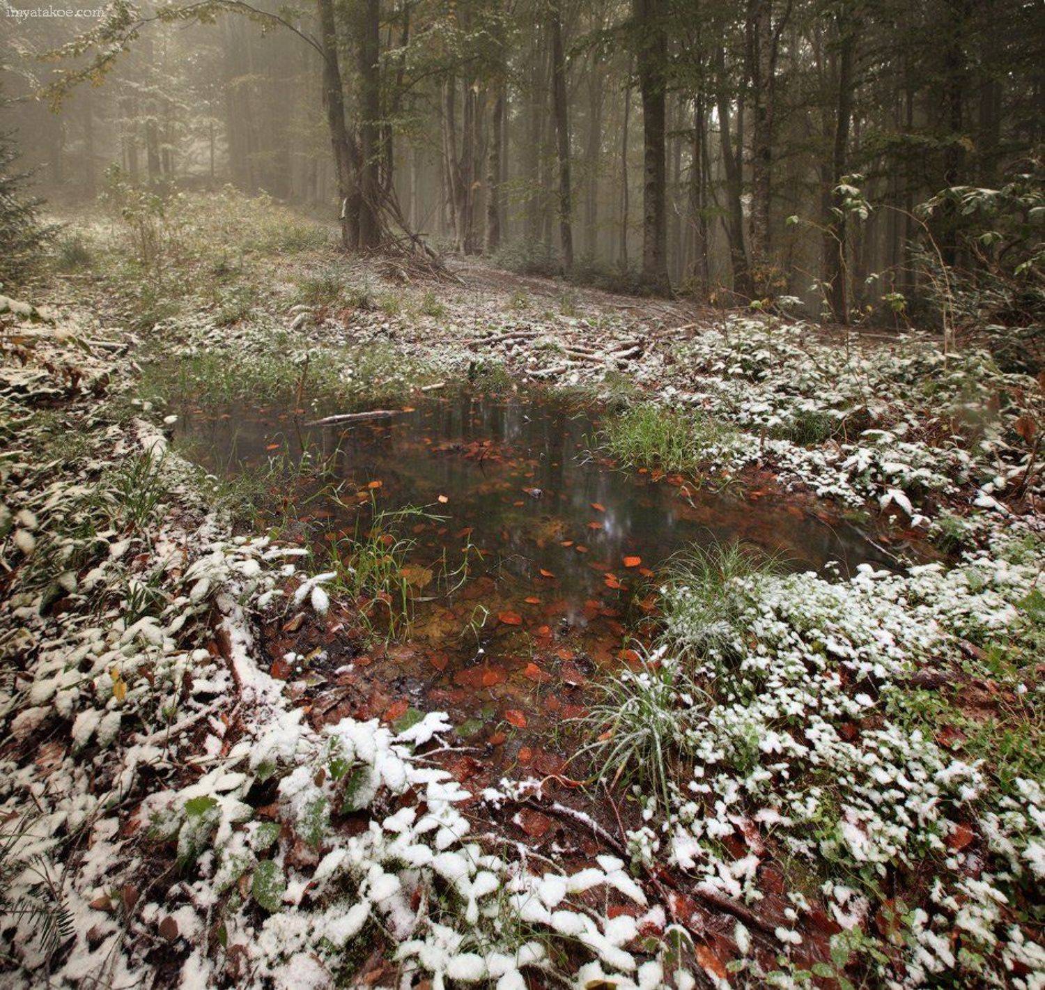 горы, карпаты, Михаил Псарёв