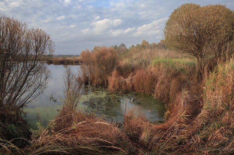 вечер, омут, осень, природа, река, скалба Тихий омут фото превью