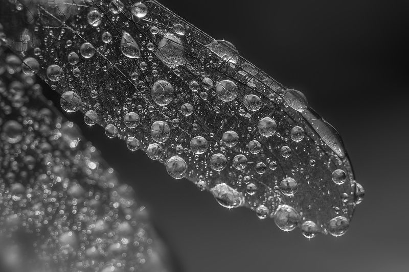 Water photographer фото превью