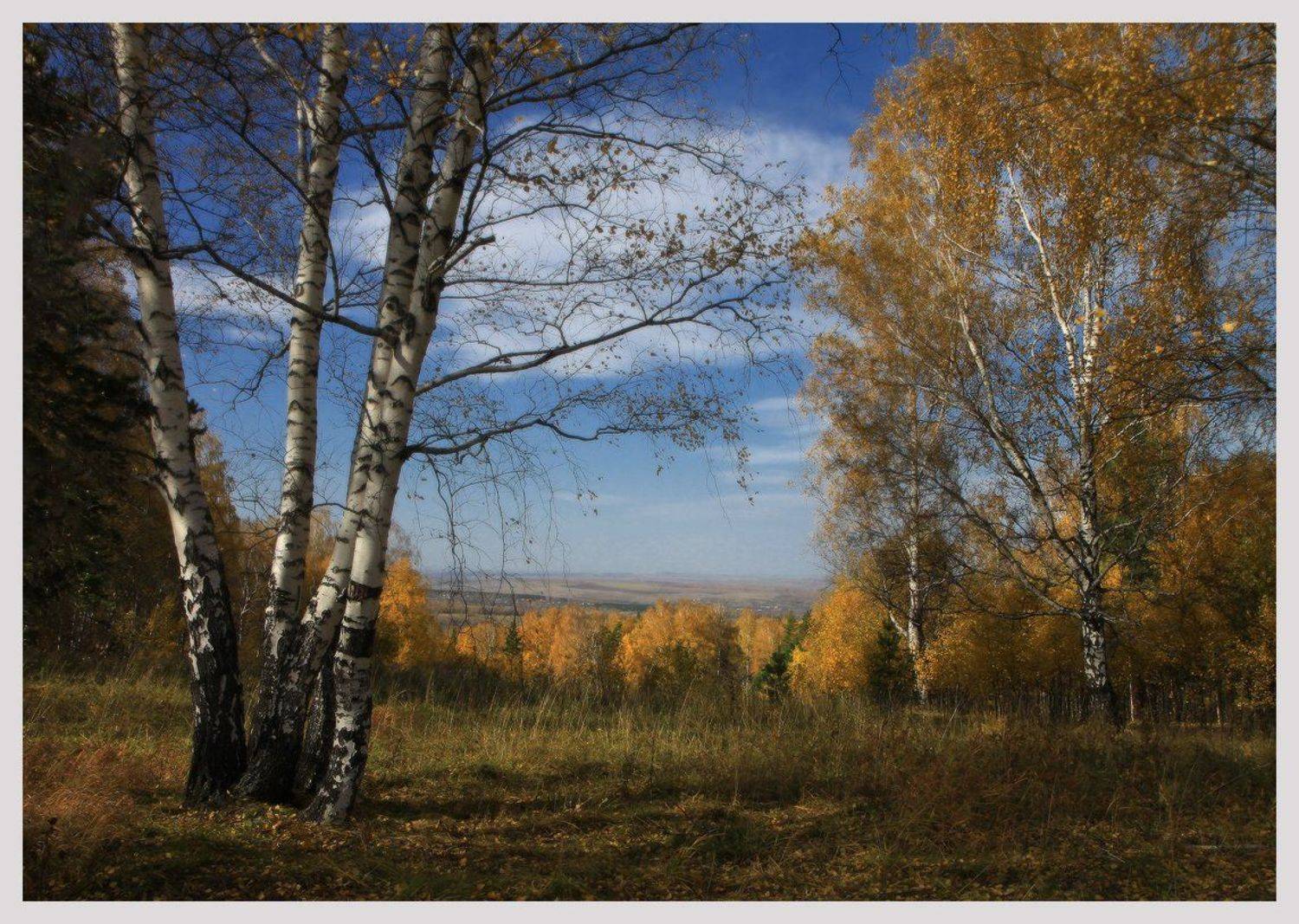 сибирь, осень, новокузнецк, Галина Хвостенко