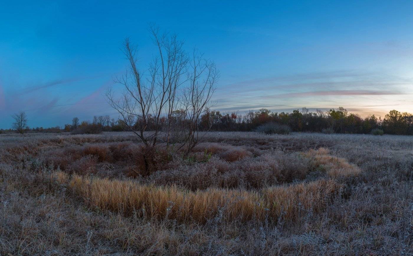 , Александр Бредихин