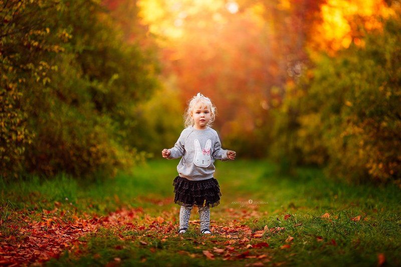 девочка, осень, закат, листопад Анечка фото превью