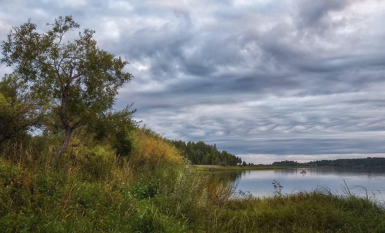 , Марина Брыдня