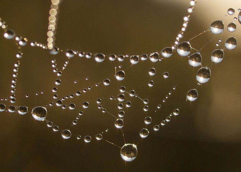 паутиновые украшения фото превью