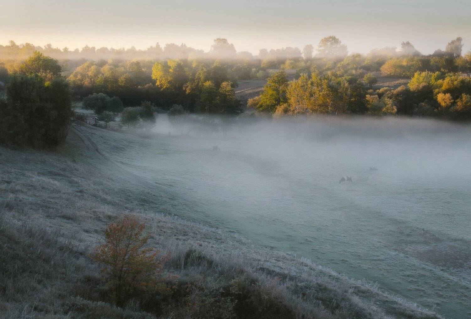 , Сергей Добровольский