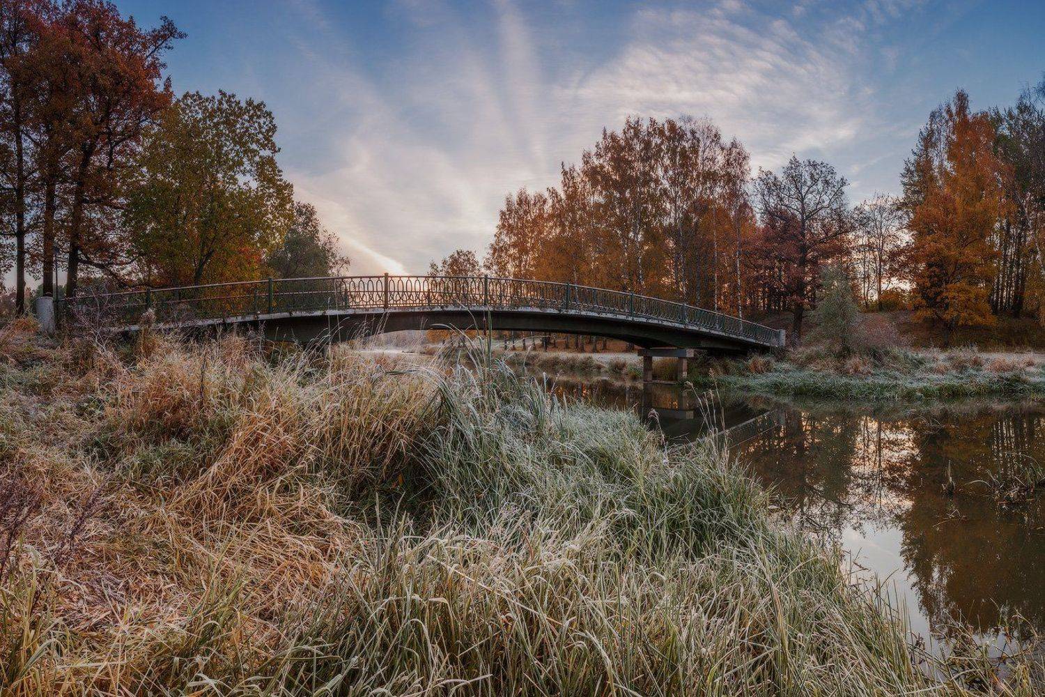 павловск, бип, осень, россия, рассвет, мост, славянка, тызва, Илья Штром