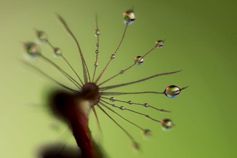 Water фото превью
