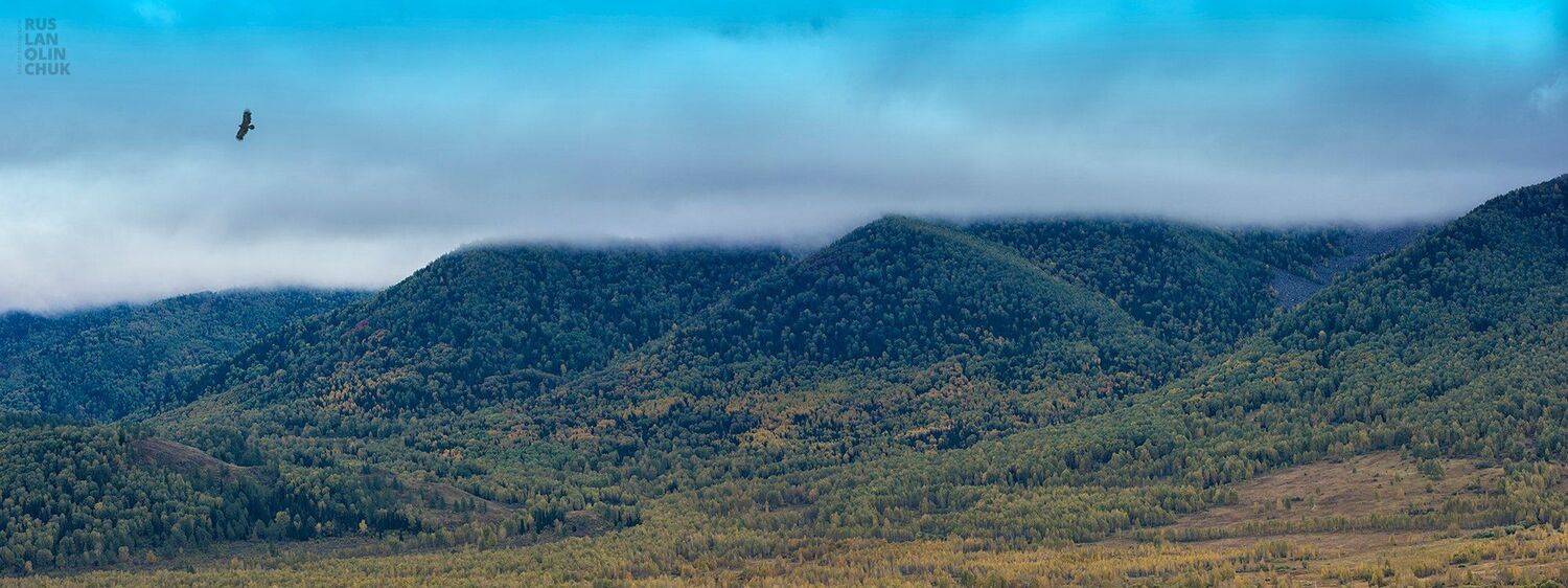 алтай, сибирь, тигирек,, Ruslan