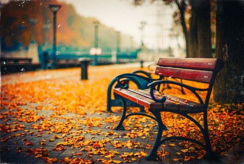 Autumn in the City