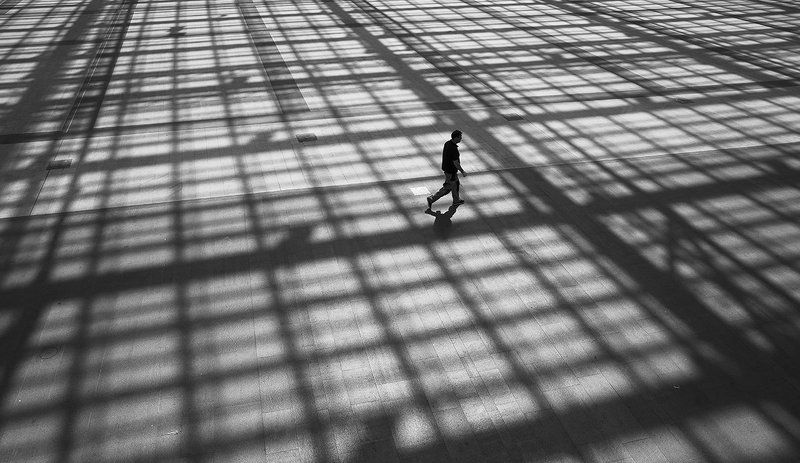 среди линий и теней фото превью