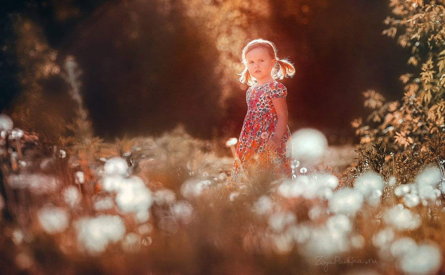 , Зоя Павкина