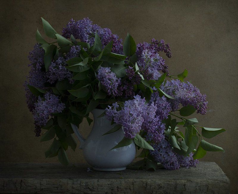 Где он, май, вечный май ..? фото превью