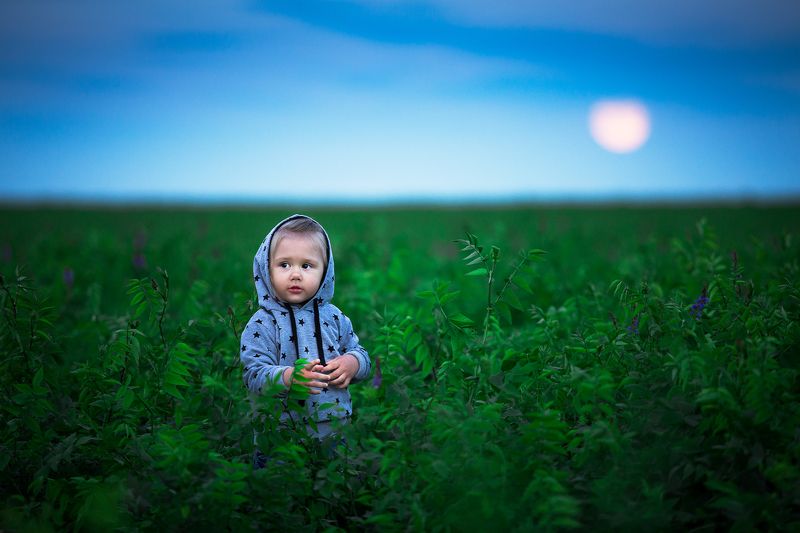 НА проверку) фото превью