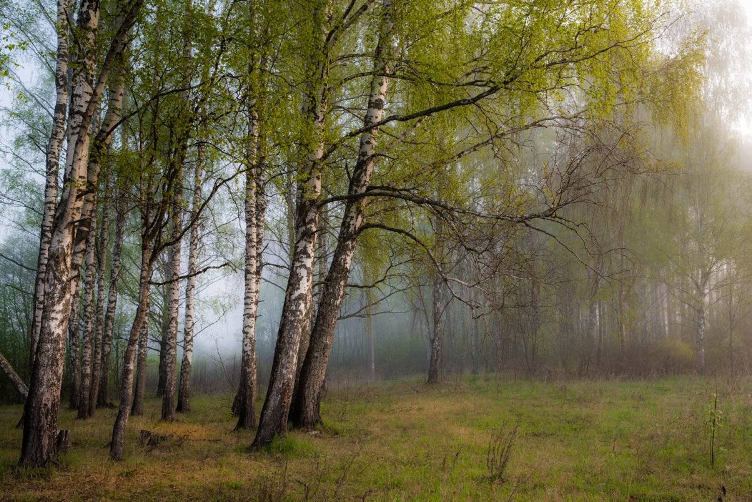 , Сергей Овчинников