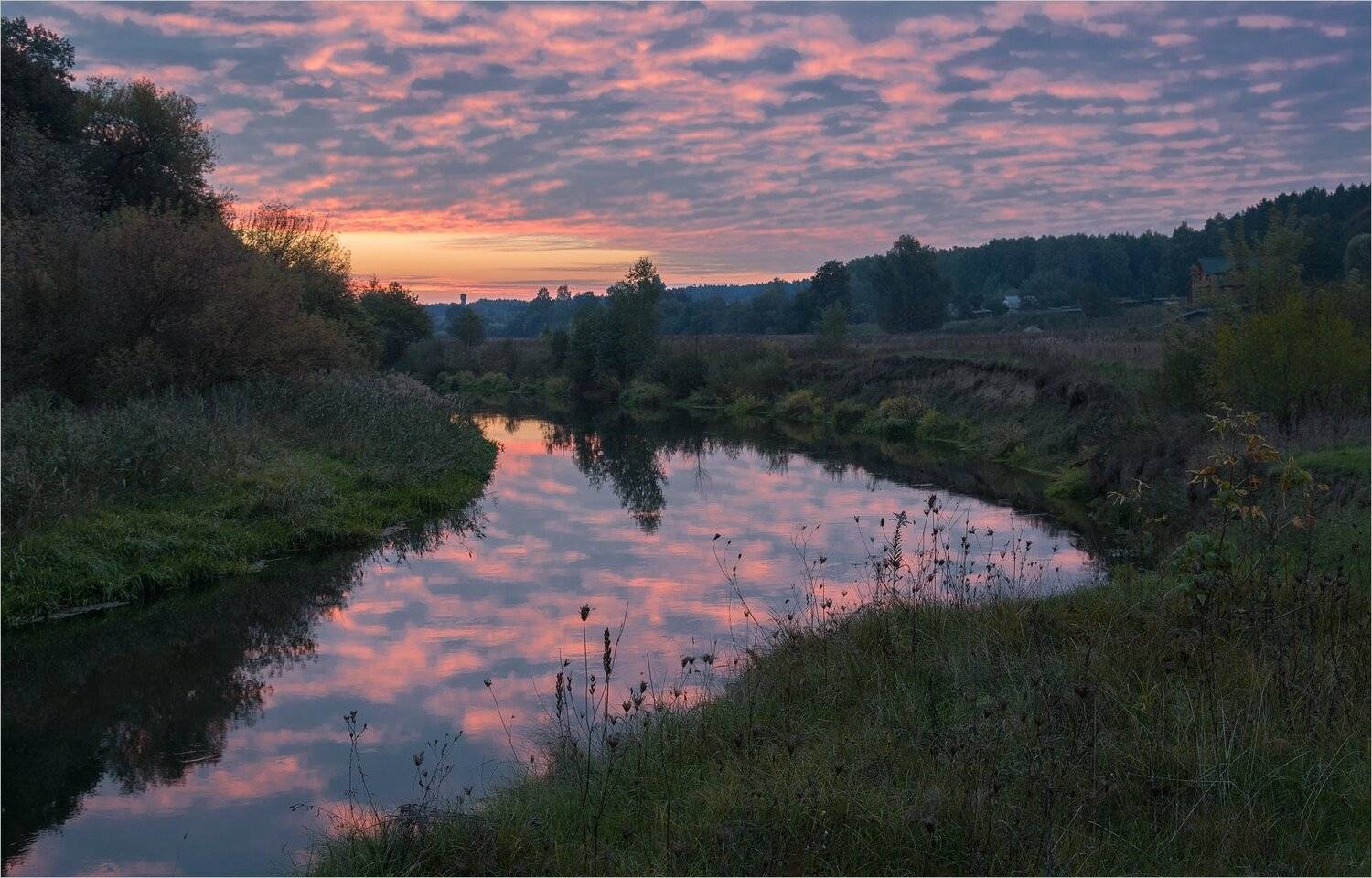, Николай Шахманцир