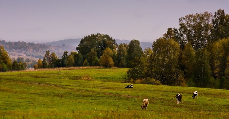 Алтай, Осень Безмятежность фото превью
