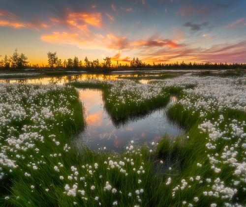 Пушистый закат