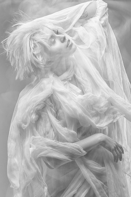 Fly фото превью