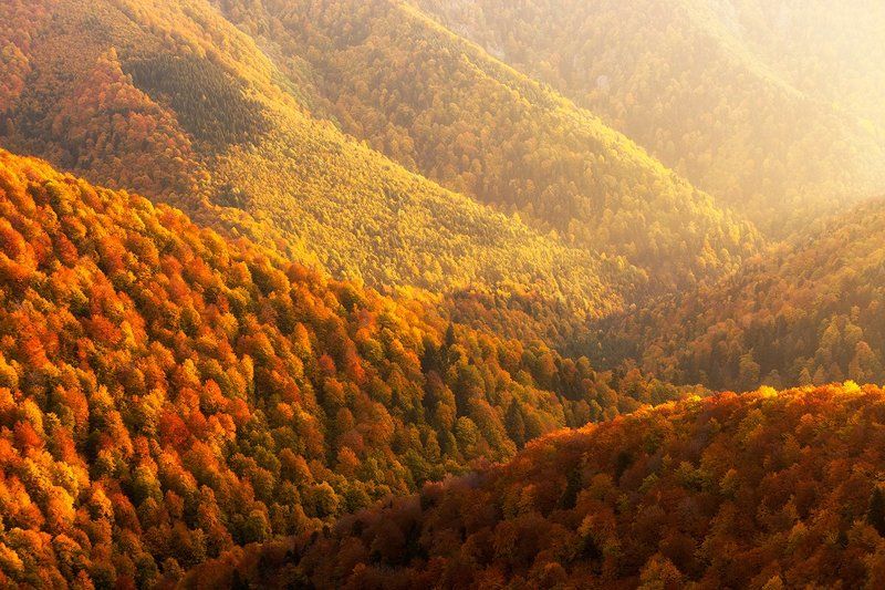 Золото Болгарии фото превью