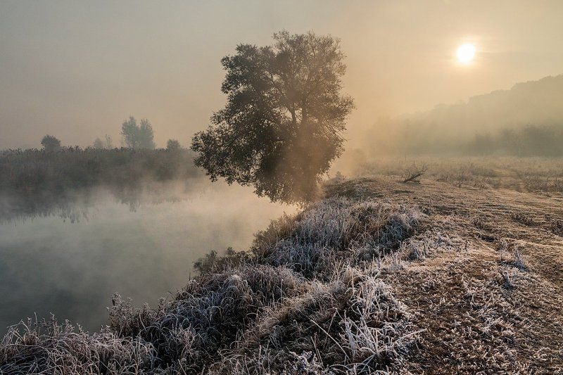 Морозное утро фото превью