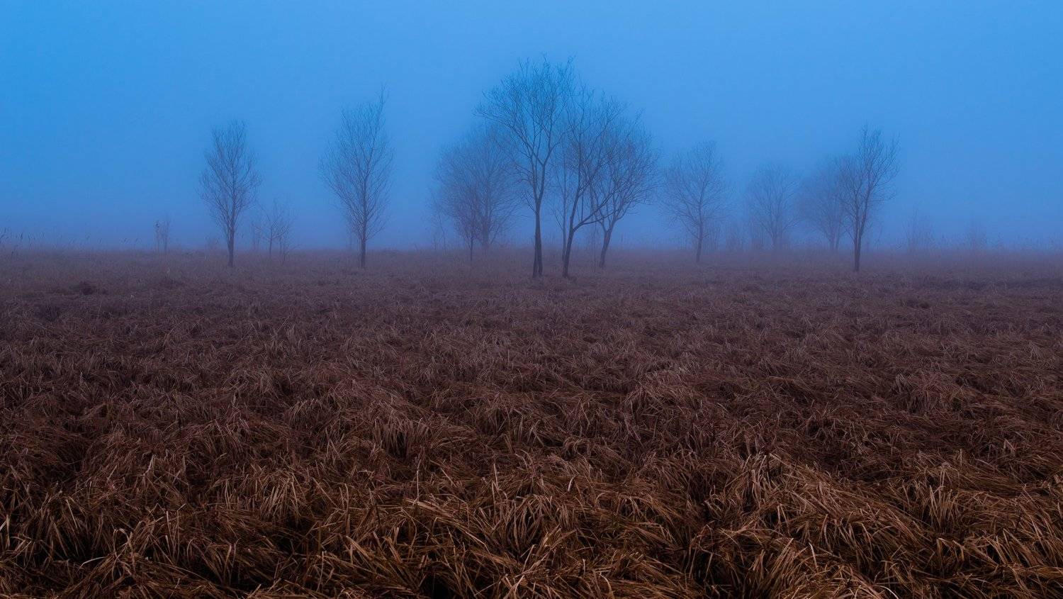 , Виталий Курин