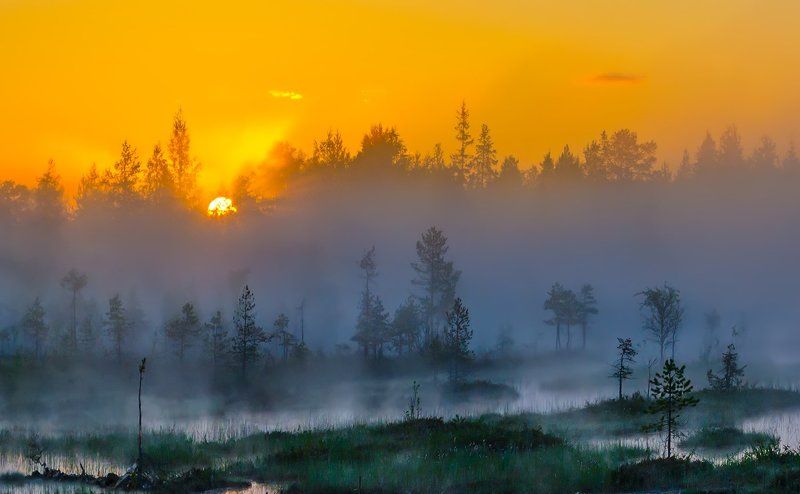 Болото, Восход, Карелия, Панорама, Пейзаж, Природа, Рассвет, Туман, Утро +++++ фото превью