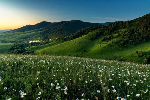 Утро в Даниловке