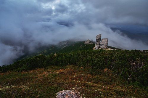 Туманное движение