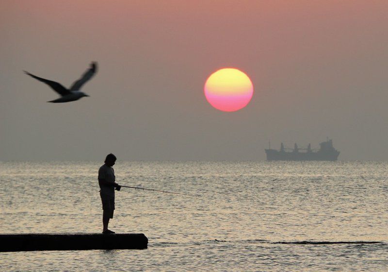 Корабль, Море, Одесса, Рассвет, Рыбак, Солнце, Чайка Всяко разно фото превью