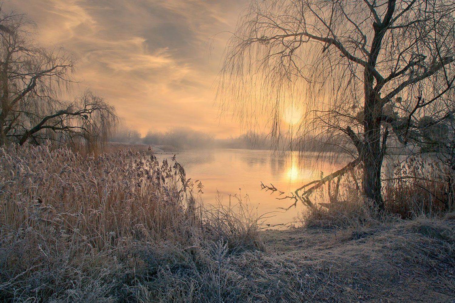 , Петр Антонович