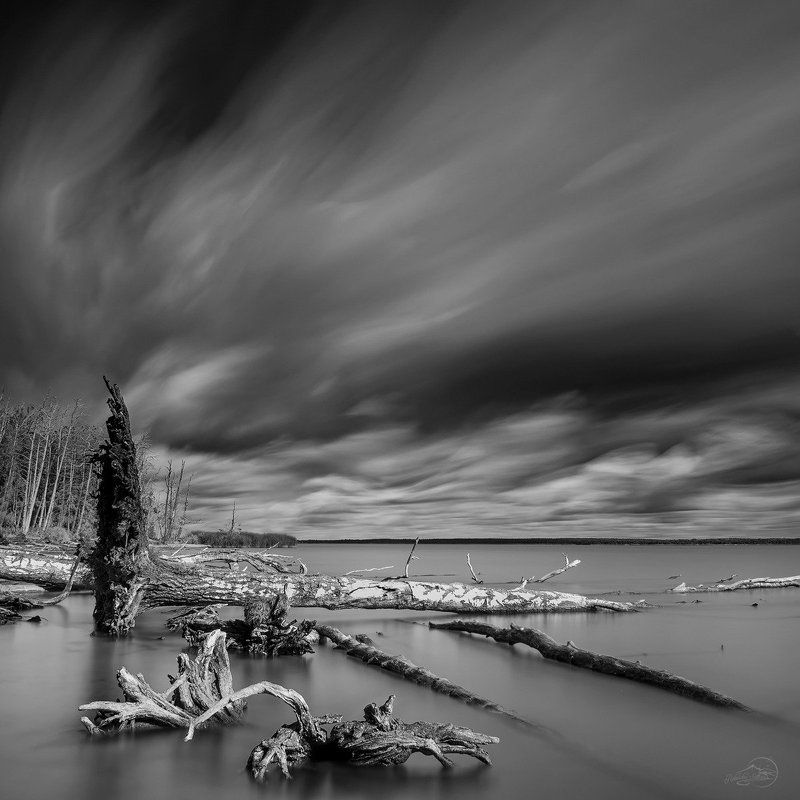 Black and white, Clouds, Landscape, Long exposure, Tree Звуки тишины фото превью