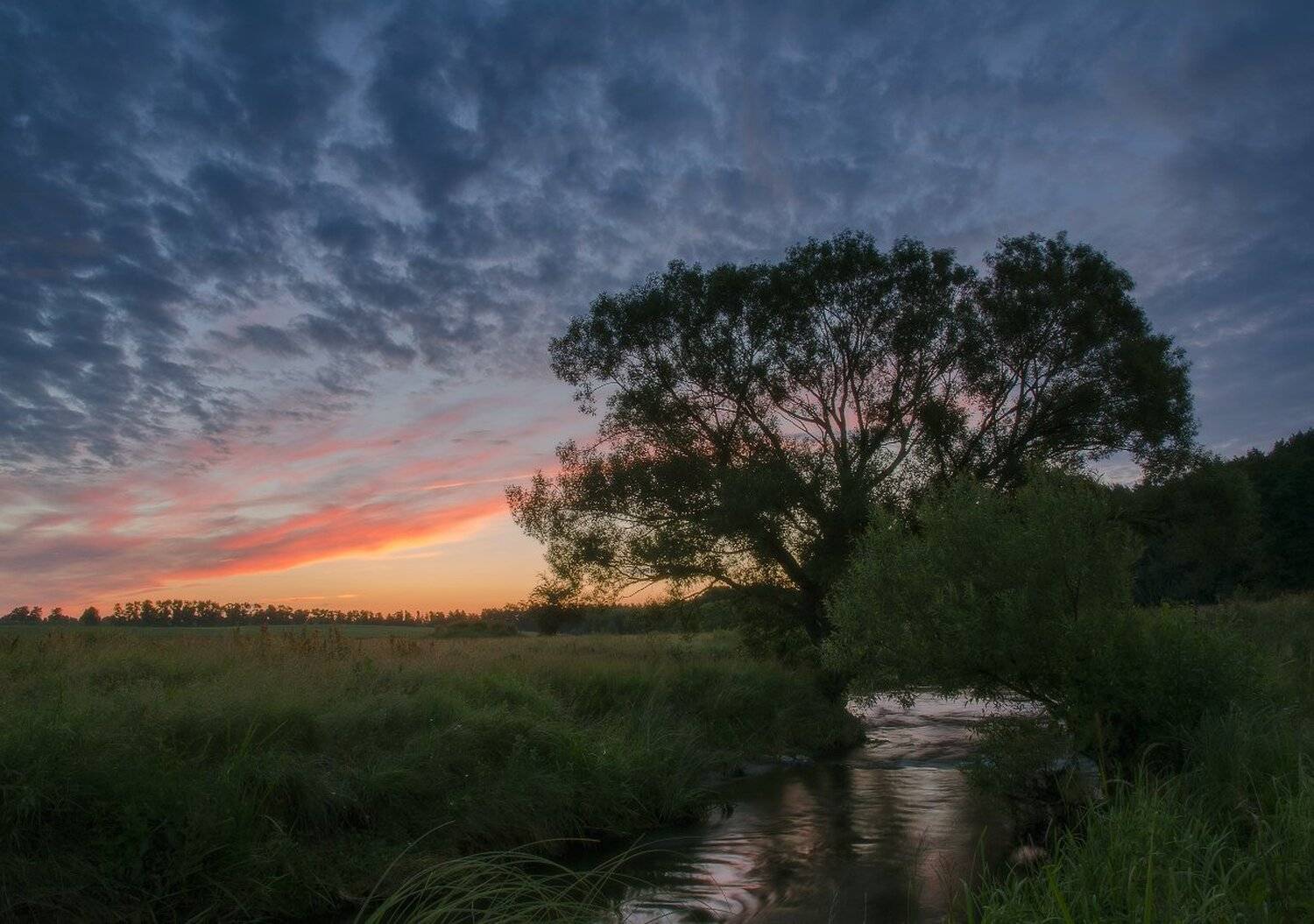 , Сергей Добровольский