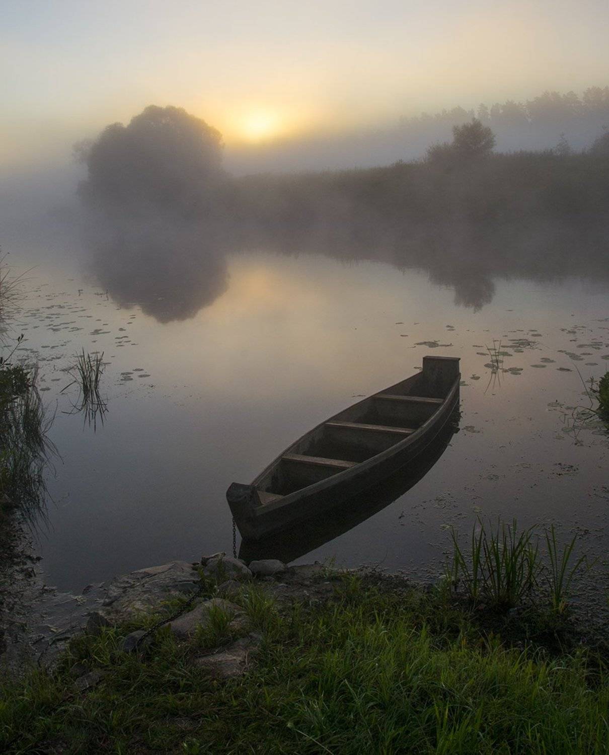 август, лето, лодка, природа, рассвтет, река, россия, смоленская область, солнце, туман, угра, Денис Щербак