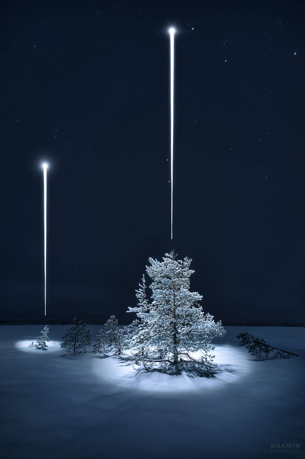 , Константин Шамин