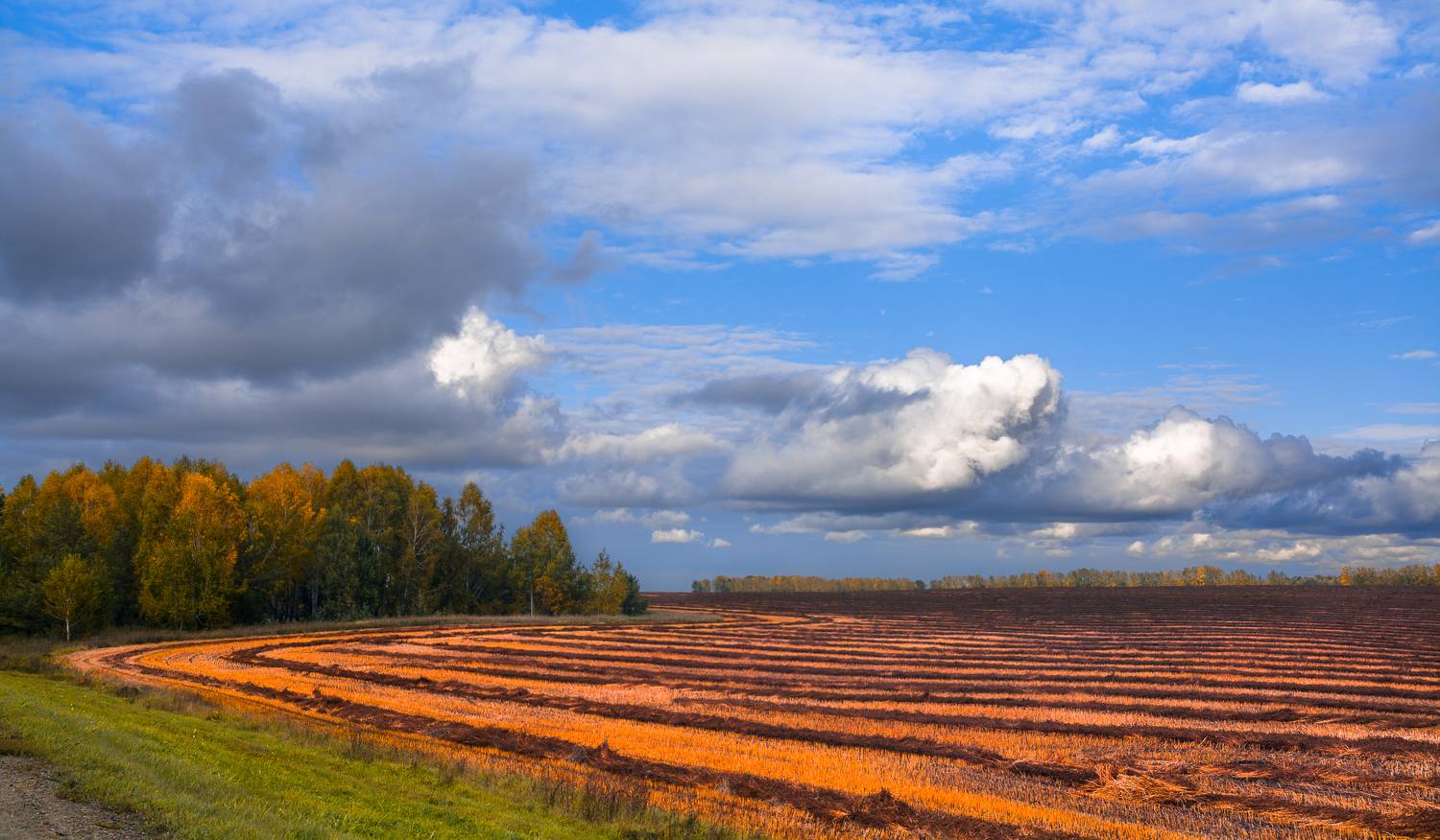 россия, алтайский край, поле, алтайская нива, облака, осень, Андрей Поляков