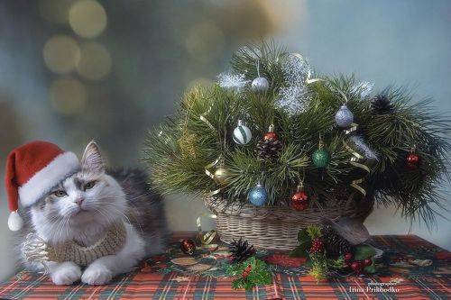 С Новым годом!