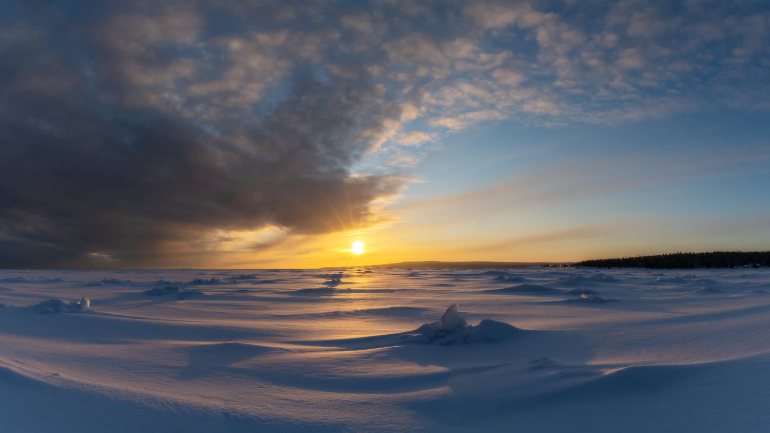 , Юлия Мальцева